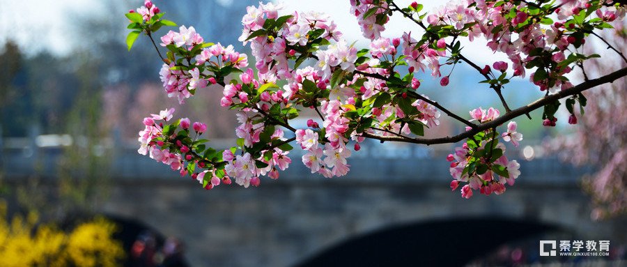 怎样赏析“好雨知时节，当春乃发生。”这句古诗?体现出什么样的意境?