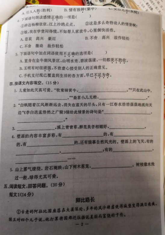 省市六合区2018-2019年上学期五年级期末考试语文试卷