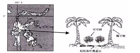 安徽省六安市高中 2019 届高三第一次素质检测