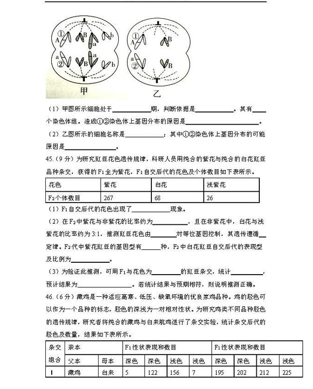 北京市海淀区高二第一学期期末考试生物试卷及答案整理分享