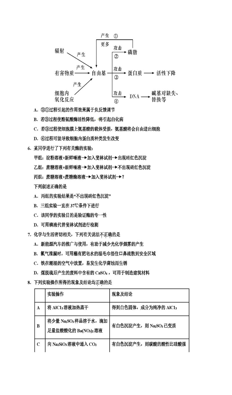 宁夏银川一中2019届第五次月考高三学生理科综合能力测试卷