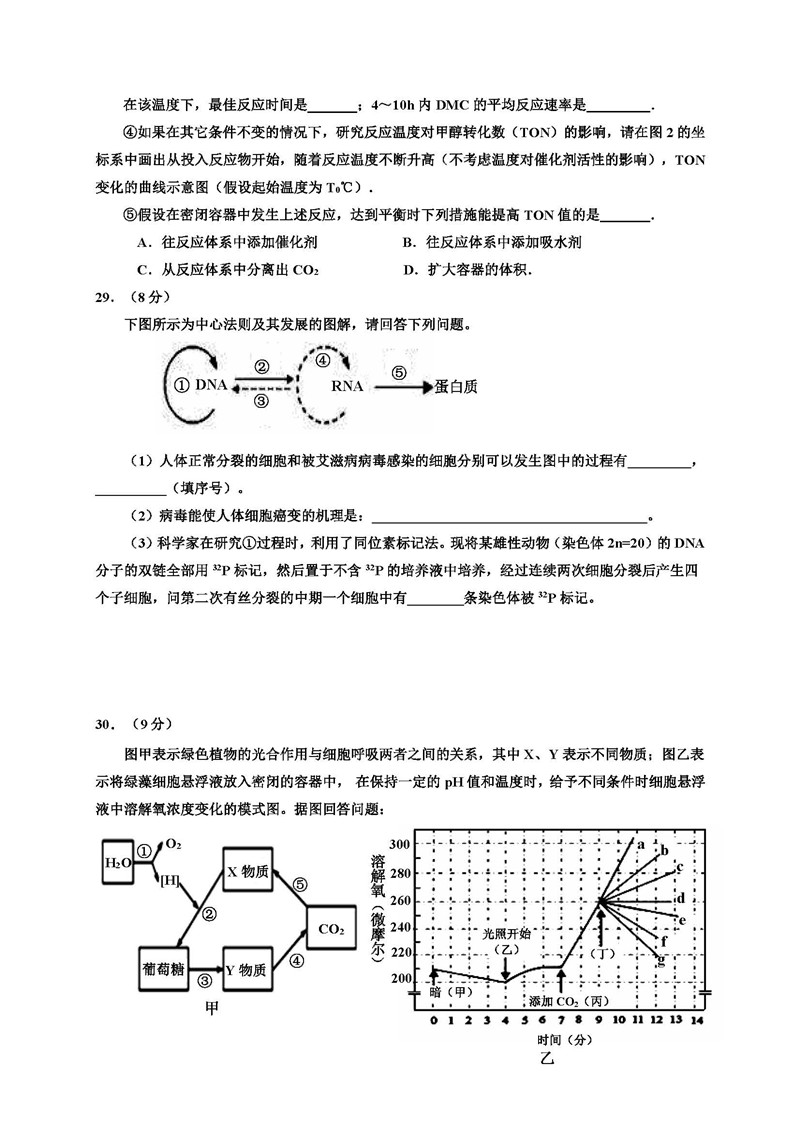 宁夏银川一中2019届第五次月考高三学生理科综合能力测试卷