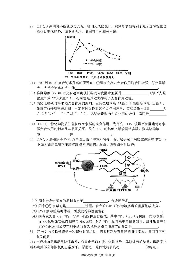 四川省成都市高新区2019届一诊模拟考试高三理综试卷及参考答案