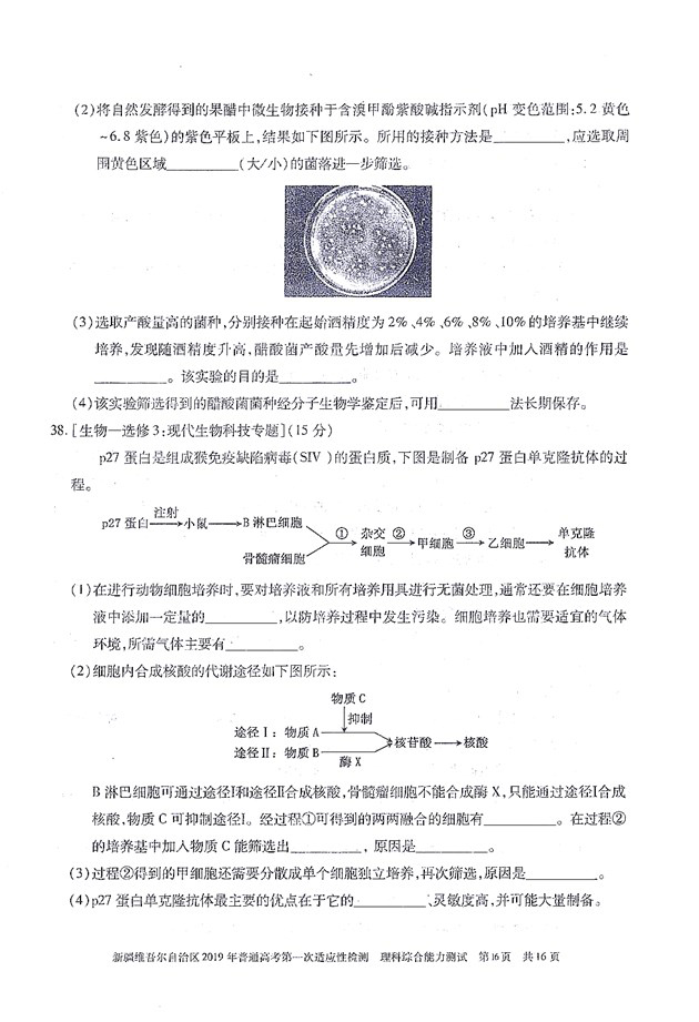 2019新疆一模 新疆维吾尔自治区3月高三质检理综试卷及答案