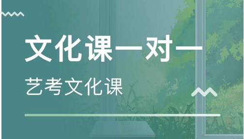 2019山东艺术生高考文化课补习班