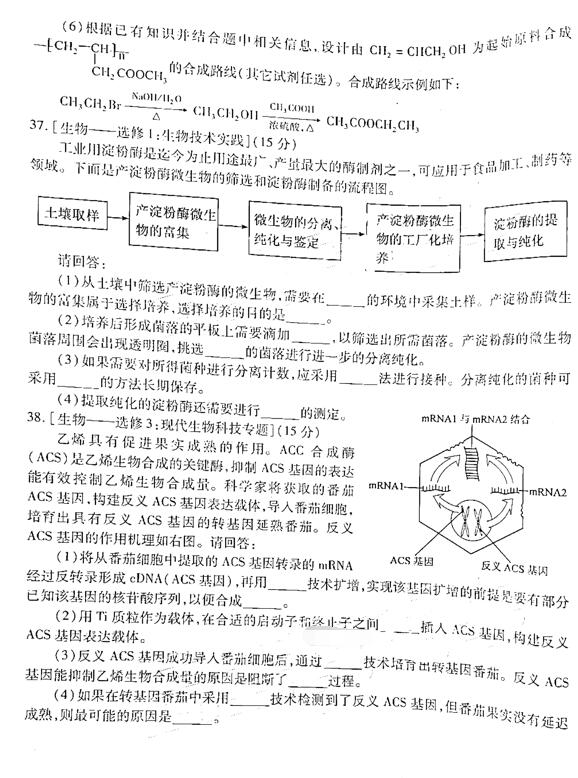 2019年安徽江南十校综合素质检测高三理综试卷及参考答案分享