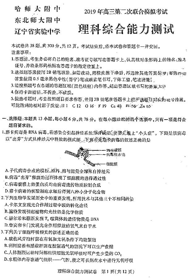 东北三省三校模考 东北三省三校2019高三二模理综试卷及答案
