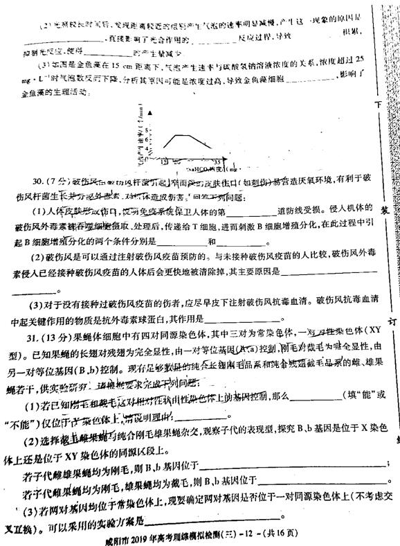 咸阳三模，陕西省咸阳市高三2019年第三次模拟检测理综试卷原题