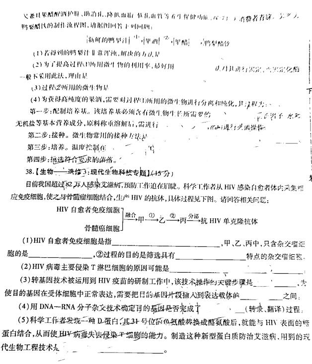 咸阳三模，陕西省咸阳市高三2019年第三次模拟检测理综试卷原题