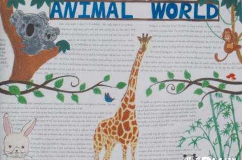 国际珍稀动物保护日手抄报素材-动物保护日手抄报图片大全