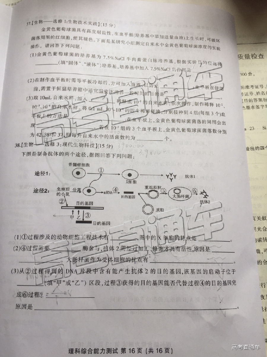 三明市二检，2019福建省三明市高三二检理综试卷及答案