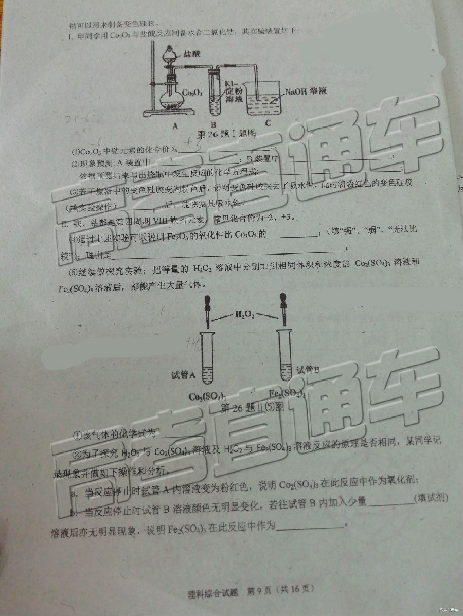 珠海二模，珠海市2018-2019年第二学期高三毕业质量监测理综试卷试题