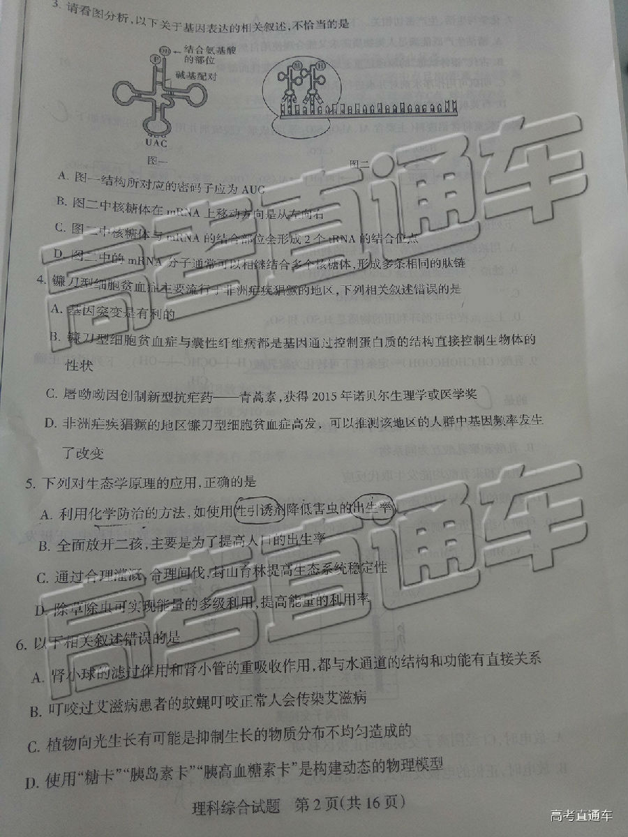 山西学校联考，2019年山西省5月23日学校联考理综试卷高清版