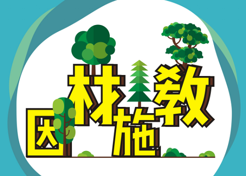 青岛大学2019年本科综合评价招生：招生简章、招生条件、报名流程