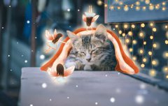 初中学生成绩忽高忽低怎么办？如何改变？