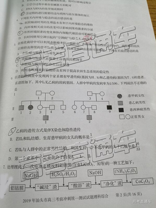 汕头三模_2019年汕头市高三考前模拟冲刺统一测试理综试题(附参考答案)