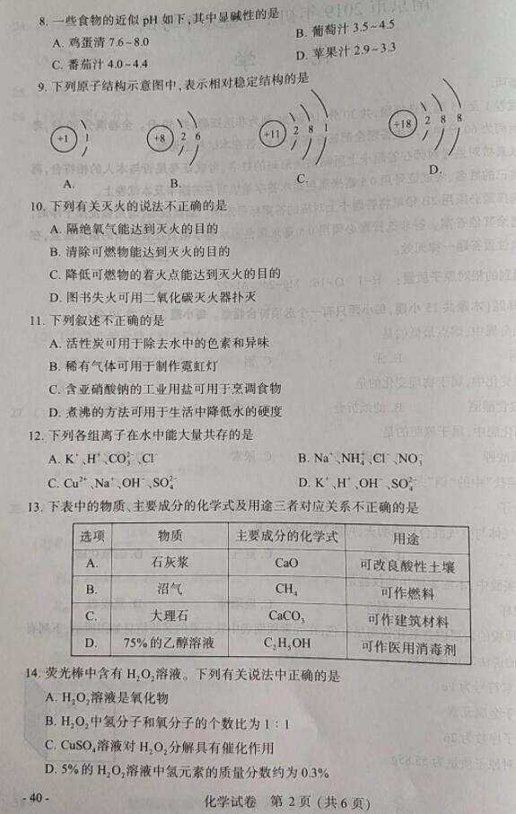 中考，2019年是初中学业水平考试化学试题及参考答案