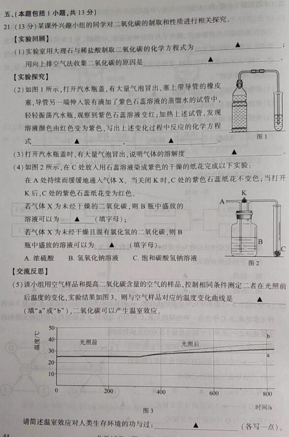 中考，2019年是初中学业水平考试化学试题及参考答案