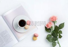 中考作文是什么标准呢?中考作文范文：流星雨!