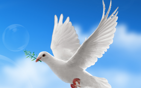 橄榄枝和和鸽子为什么代表着和平和友好的愿望呢？这个象征源自什么故事？