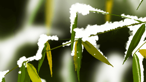 历霍光是怎样的一个人？霍光一族的灾祸起源于什么事情？