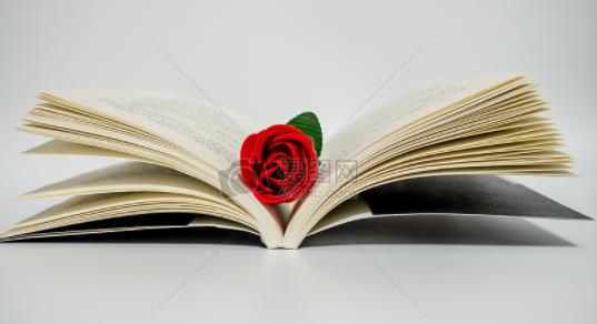 文综：南充市2019高二下学期期末考试试题和答案！