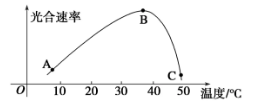 高中生物重点知识辅导：光合作用相关曲线分析！影响光合作用的因素分析！