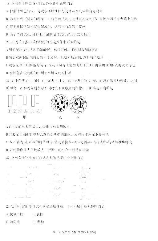 师大附中2019-2020年上学期高一期中考试生物试卷及答案(免费)