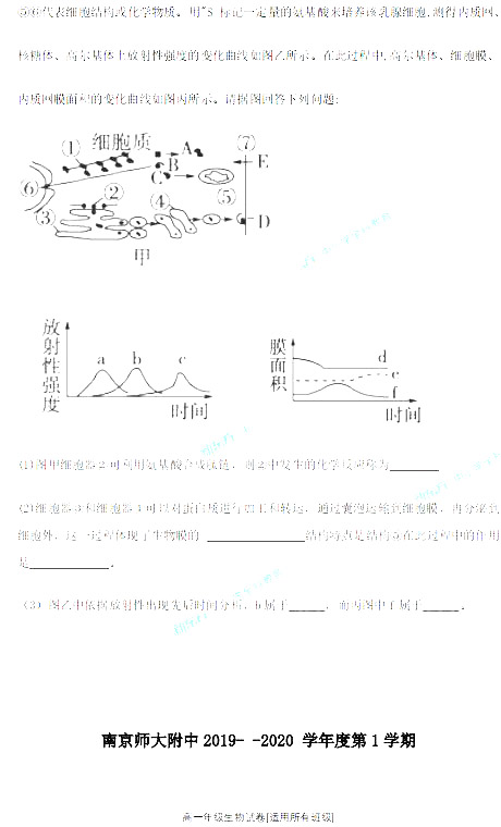 师大附中2019-2020年上学期高一期中考试生物试卷及答案(免费)