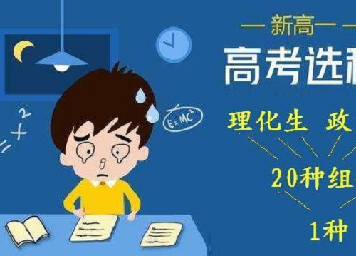 高一选择物政地、物政生、物生地有什么优缺点?哪种组合容易考