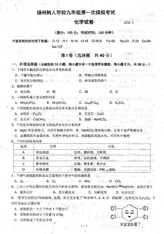 中考化学一对一辅导，树人学校九年级一模化学试卷