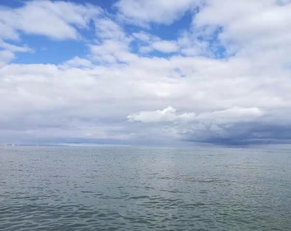 上民办学校就跟打仗一样_升学帮