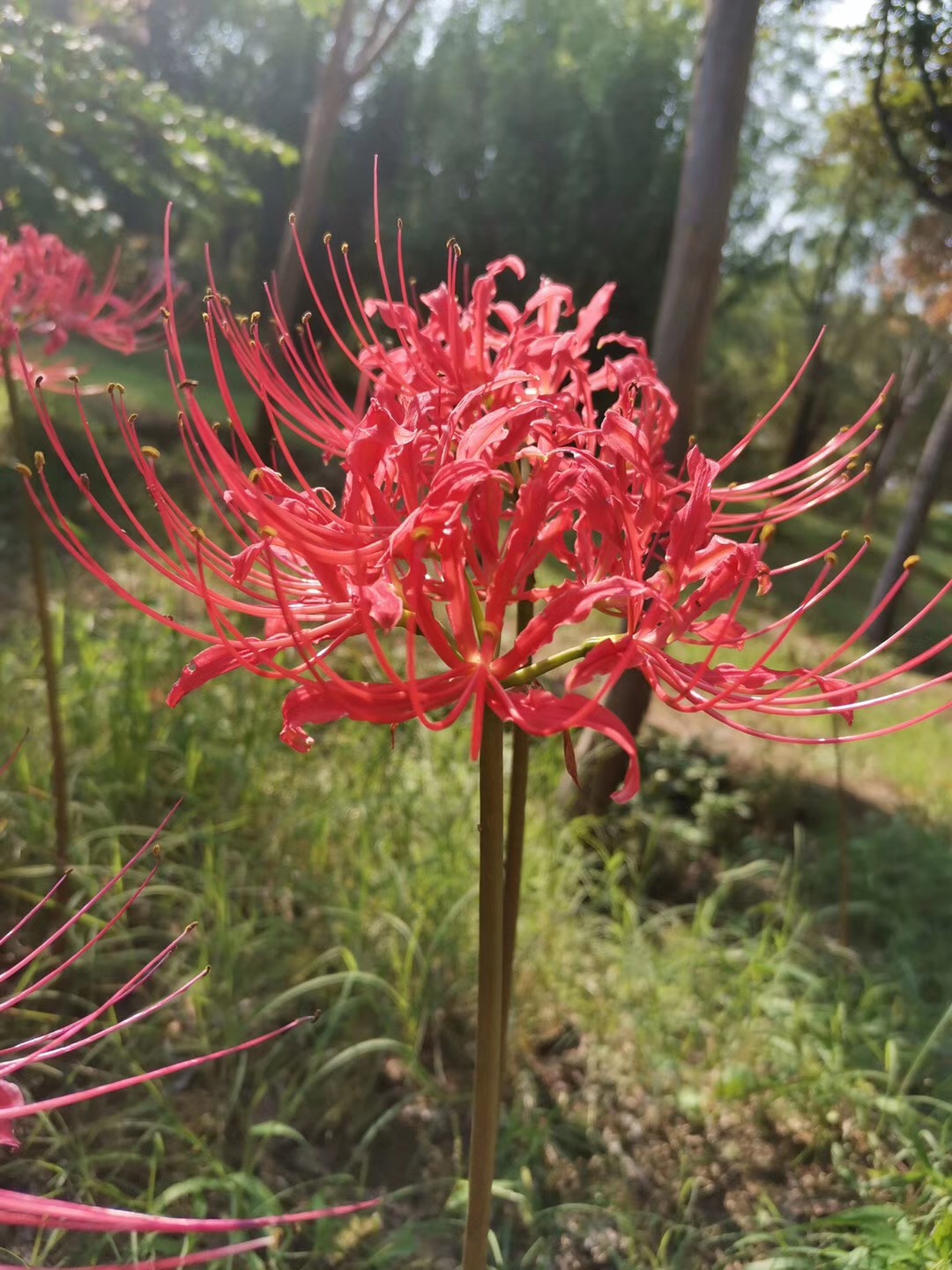 清華大學,北京大學宿舍環境怎麼樣,學校住宿環境分析!