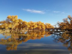 “予独爱莲之出淤泥而不染”的下一句是什么?《爱莲说》全文怎样翻译?