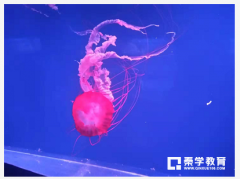 性格内向的人怎样提升自身情商呢？该怎么做？