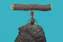 高一年级的课外辅导书目录分享有哪些？高一学生收藏！