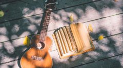 高考文科的学生应该如何填报志愿？文科生注意了！