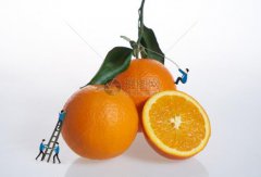 2019高考模拟作文题目（文化，蕴藏在经典著作里……）范文展示！