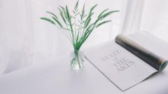 高考复读学校介绍!西安文达高中是不是公办的?