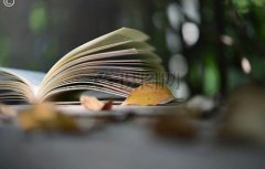 高考填报志愿，女孩子考军校选什么好?