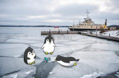 初二期末考试只有十几天了，该怎样复习？