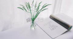 湖北工程学院新技术学院2018录取分数线(美术类)公布！