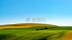 新高考3+1+2该怎样选科？新高考选科3大步骤及常见问题！