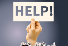 宁波大学和安徽大学两者的优势分别是什么？各自有怎样的特色和优点？