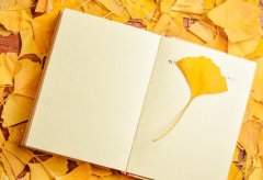 香非在蕊，香非在萼，骨中香彻！晁补之《盐角儿·亳社观梅》赏析！