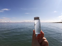 怎样增强化学成绩？化学在线课程效果怎么样？